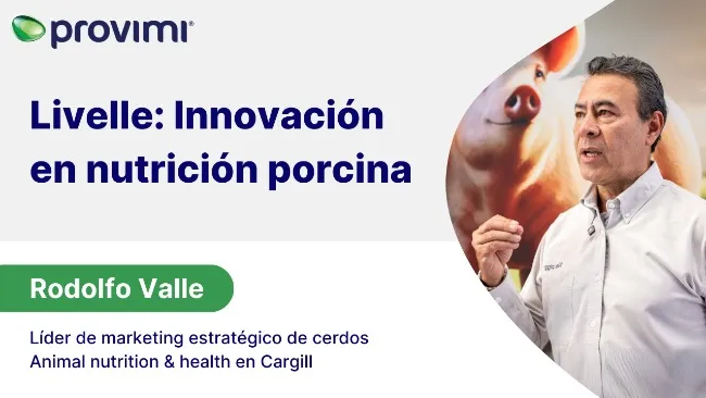 Más que nutrición: La solución integral de Cargill para los porcicultores