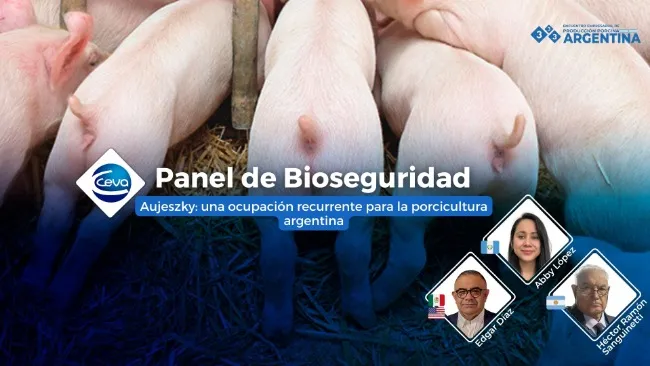 Aujeszky: una ocupación recurrente para la porcicultura argentina