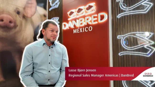 Estrategias para optimizar costos y crecer en mercados internacionales