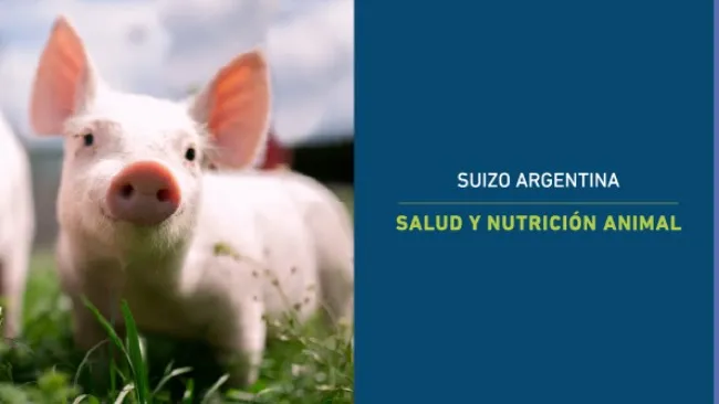 El nutriente olvidado: la importancia del agua en la producción porcina