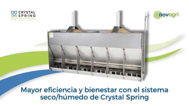 Optimización en la alimentación porcina con Crystal Spring y Novagri