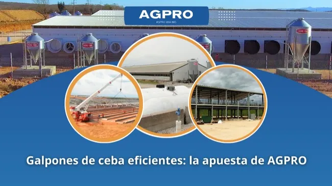Infraestructura de calidad para una producción pecuaria eficiente