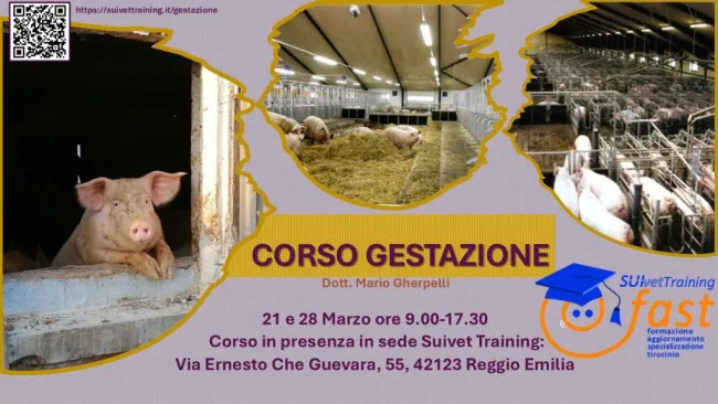 Nuovo Corso Gestazione in presenza!!! Iscriviti subito...