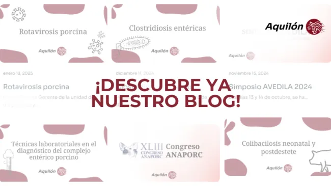 Tenemos algo para ti: