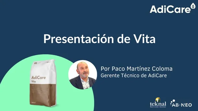 Vita: apoyo nutricional para un parto eficiente y lechones más vitales 