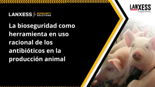 Centrarse en la prevención de enfermedades y la promoción de la salud animal