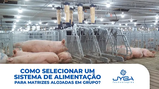Conversão de equipamentos para matrizes alojadas em grupo: uma experiência valiosa