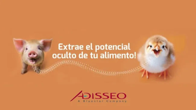 Optimización de la nutrición animal: la estrategia integral de Adisseo