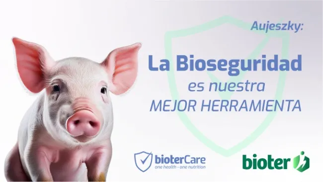 Aujeszky en Argentina: claves para proteger tu granja con bioseguridad