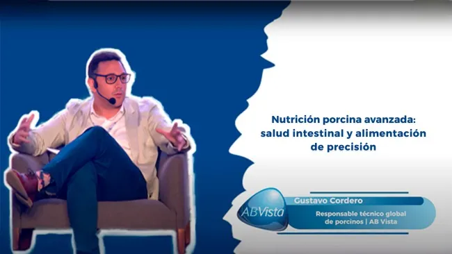 Alimentación de precisión y salud intestinal: claves para la eficiencia porcina
