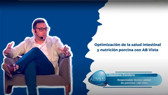 Optimización de la nutrición y salud intestinal en la producción porcina