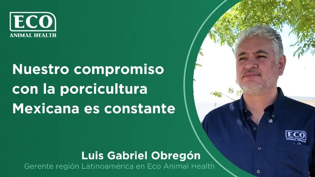 El compromiso de ECO Animal Health con la porcicultura en Latinoamérica