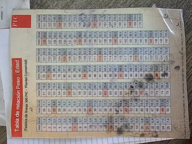 Aqui les adjunto una tabla de peso segun la edad  de PIC con motivo de...