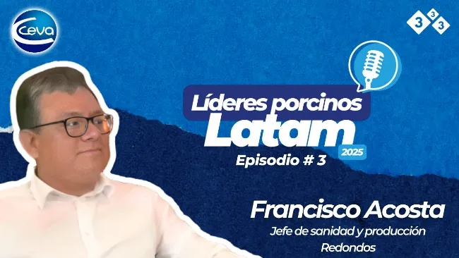  Estrategias y crecimiento en la producción porcina en Redondos para revolucionar la porcicultura en Perú