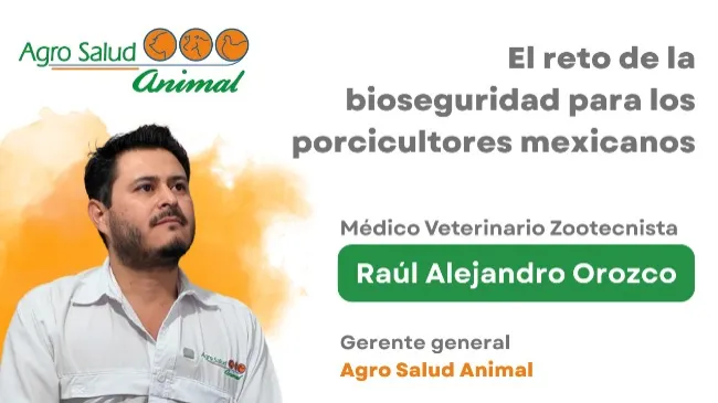 Bioseguridad en granjas porcinas: desafíos y mejoras