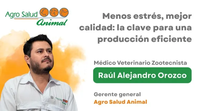 Menos estrés, mejor calidad: la apuesta de Agro Salud Animal