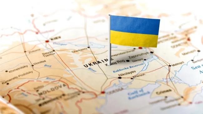 Ukrainian Meat Association sounds the alarm about ASF spread