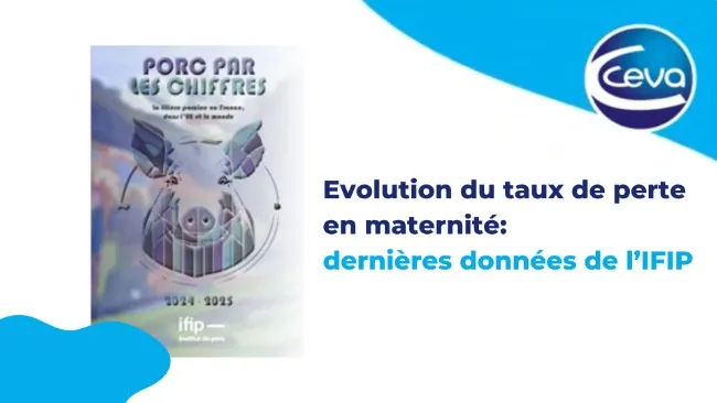 Evolution du taux de perte en maternité : dernières données de l’IFIP
