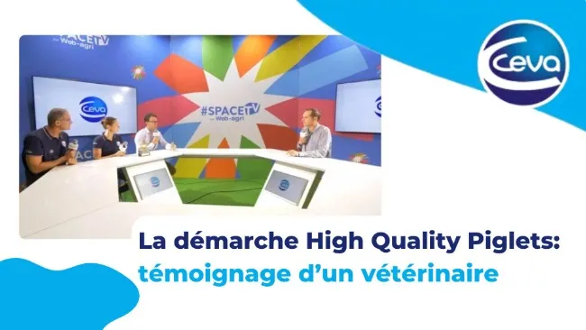 La démarche High Quality Piglets 