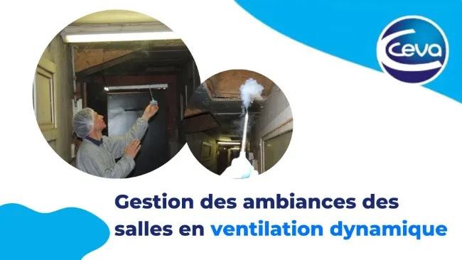 Gestion des ambiances des salles en ventilation dynamique