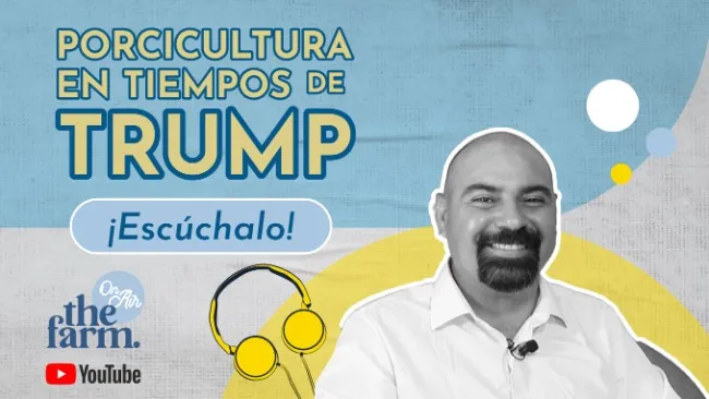 México y Estados Unidos: Desafíos comerciales y seguridad alimentaria en la industria porcina