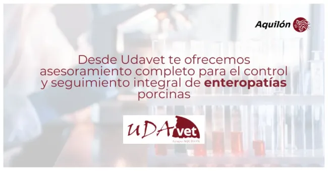 ¿Sabías que…