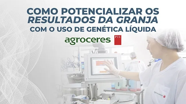 Genética líquida: Dicas para maximizar a eficiência na produção suína