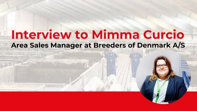 Sustainability and Efficiency in Breeding: Danish Genetics' Strategy to Improve Sow Health and Robustness