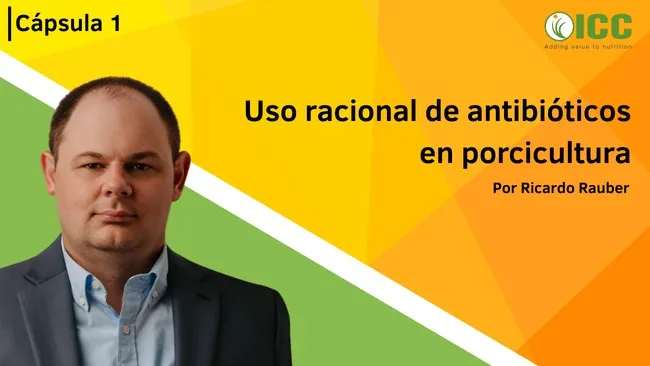 Uso racional de antibióticos en la producción porcina: claves para una gestión eficiente | Cápsula 1