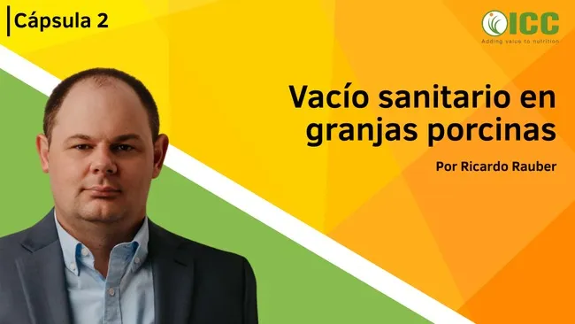 Vacío sanitario: clave para reducir el uso de antibióticos en la porcicultura | Cápsula 2