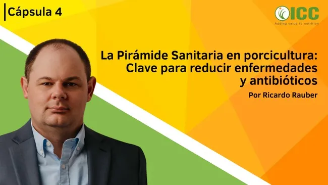 La Pirámide Sanitaria: una estrategia para una producción porcina más saludable | Cápsula 4