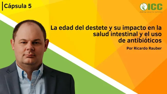 La edad del destete: un factor clave en la salud intestinal y reducción del uso de antibióticos | Cápsula 5