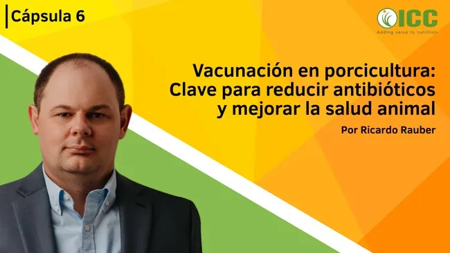 Vacunación estratégica en porcicultura: clave para la reducción de antibióticos y la mejora en la salud animal
