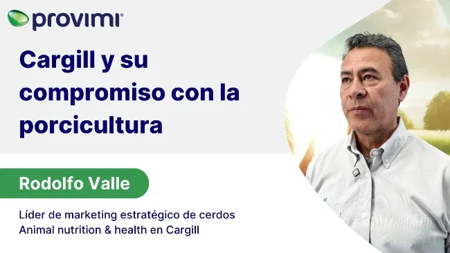 Nutrición y tecnología para una producción porcina más eficiente
