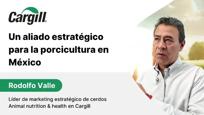 Provimi: un socio de confianza para los porcicultores mexicanos