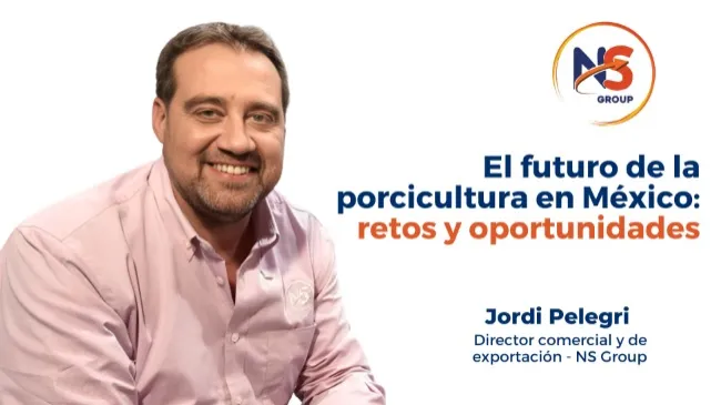 El futuro de la porcicultura en México: retos y oportunidades