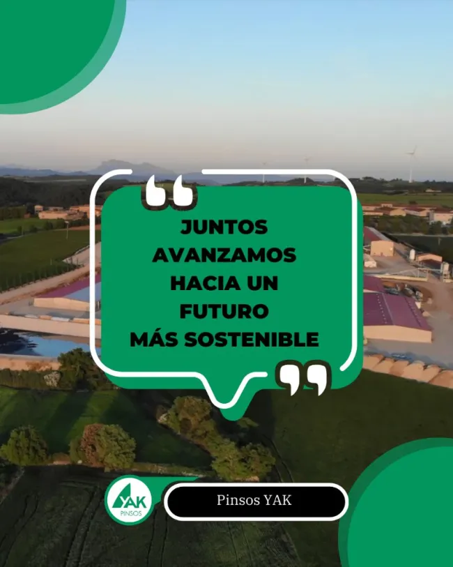 ¡Juntos avanzamos!