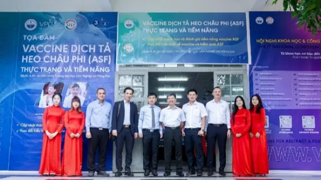 VACCINE DỊCH TẢ HEO CHÂU PHI: TỪ MỘT GÓC NHÌN