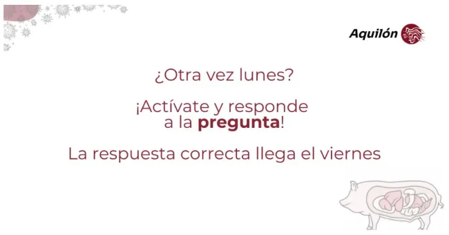 ¡Primer lunes de abril y seguimos con nuestro reto!