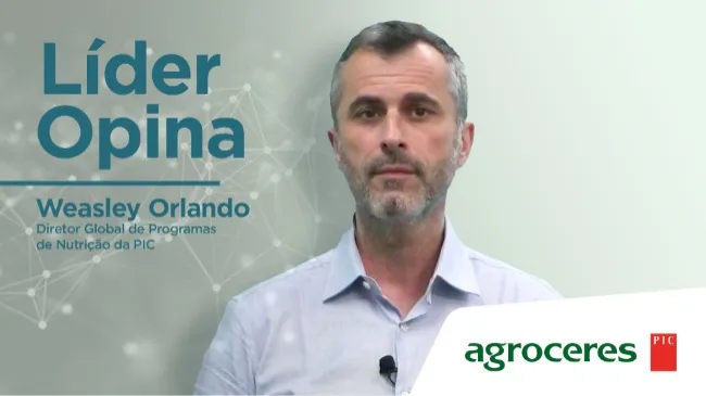 Líder Opina: A importância da sinergia entre genética e produtividade na suinocultura