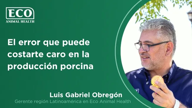 Bioseguridad y rentabilidad: La clave para la porcicultura según Luis Gabriel Obregón