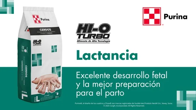 Hi-O Turbo: Apoyo nutricional para cerdas prolíficas y camadas saludables