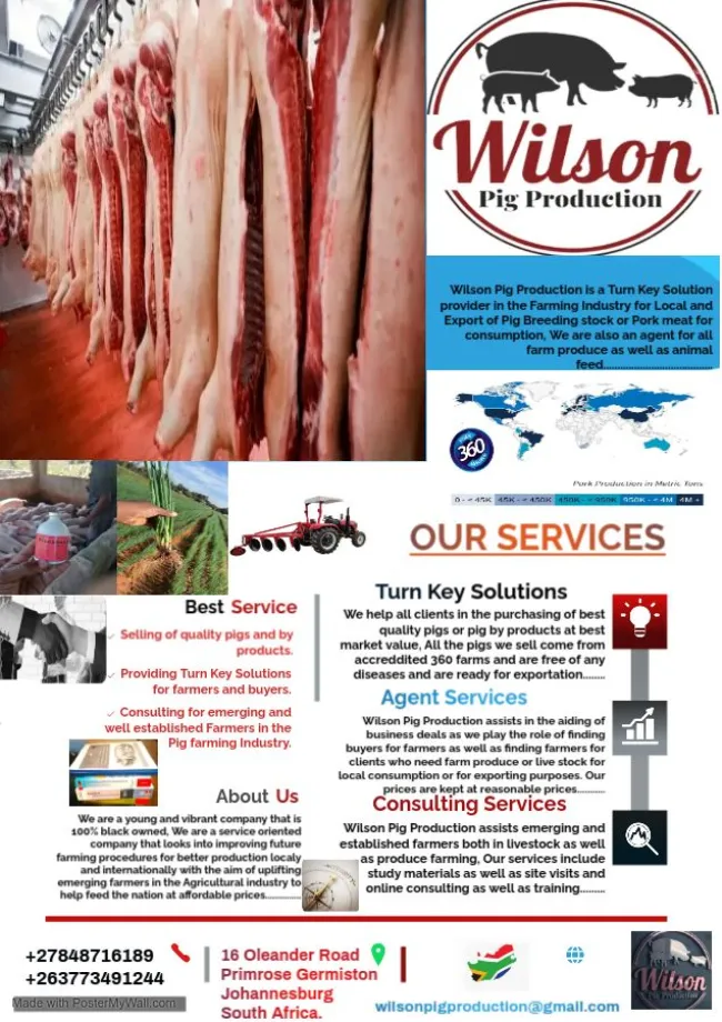 We Feed Nations
