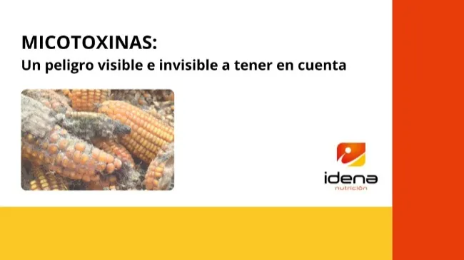 MICOTOXINAS: UN PELIGRO VISIBLE E INVISIBLE A TENER EN CUENTA