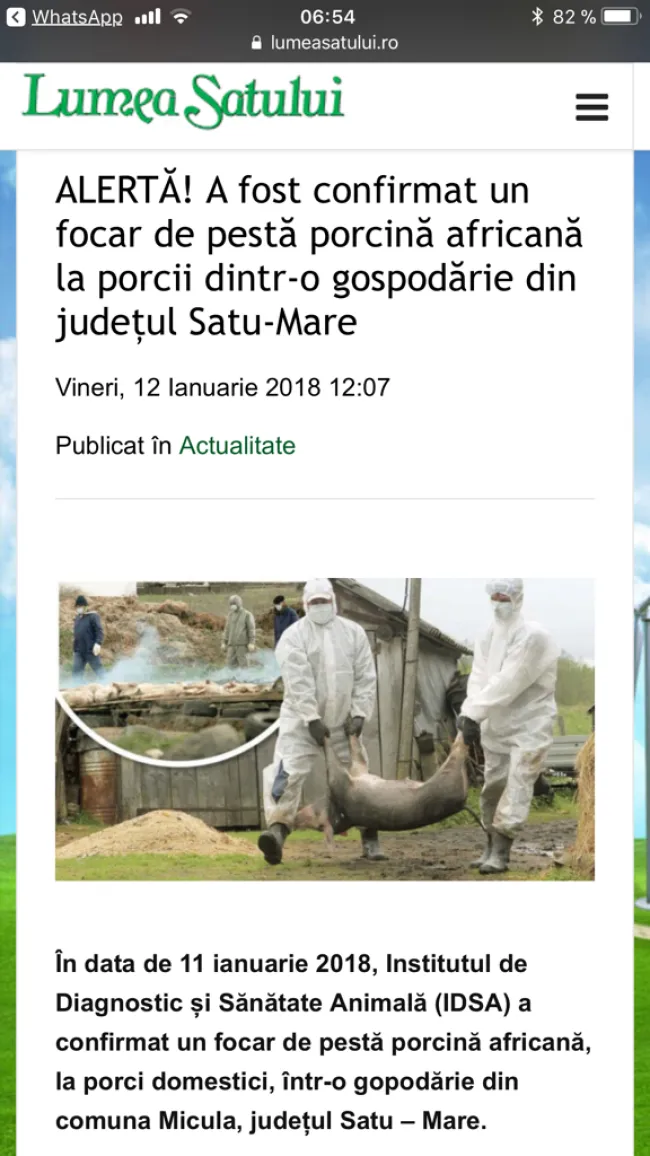 African Swine Fever again in Romania!