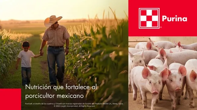Purina®: Nutrición innovadora para el crecimiento de la porcicultura mexicana
