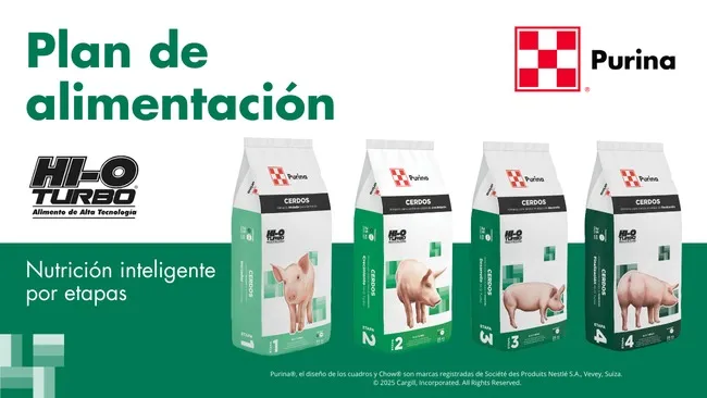Hi-O Turbo: Nutrición por etapas para el máximo desarrollo del cerdo