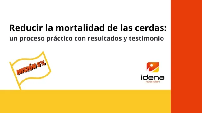 Reducir la mortalidad de las cerdas: un proceso práctico con resultados y un testimonio