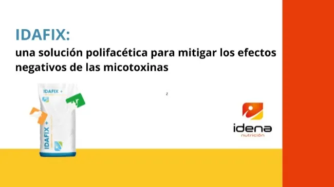IDAFIX: una solución polifacética para mitigar los efectos negativos de las micotoxinas