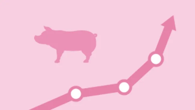 Buenas noticias para la carne de cerdo